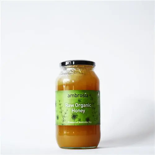 Ambrosia Raw Organic Honey 500g