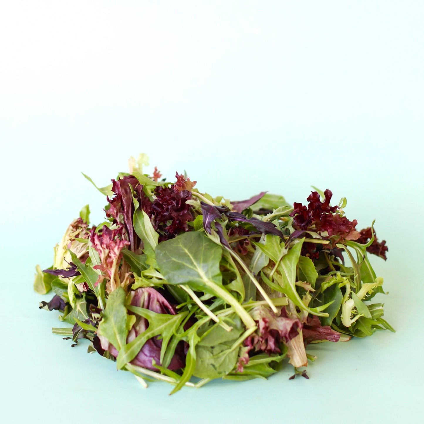 Salad Mix 100g