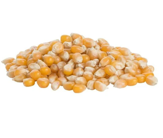 Organic Popcorn Kernels 1kg