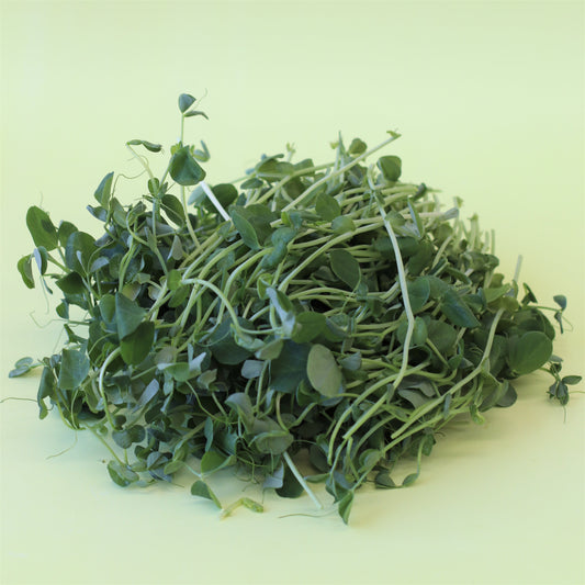 Pea Shoots 100g